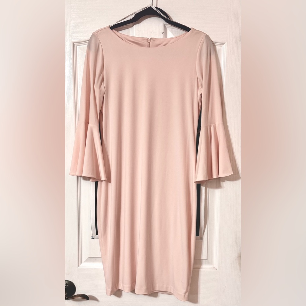 Elegant Blush Pink Flare Sleeve Dress